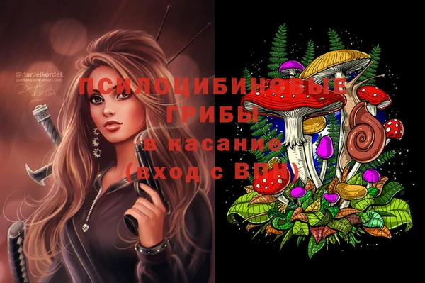 стаф Богородицк