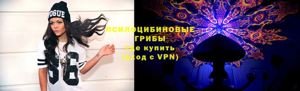 стаф Богородицк