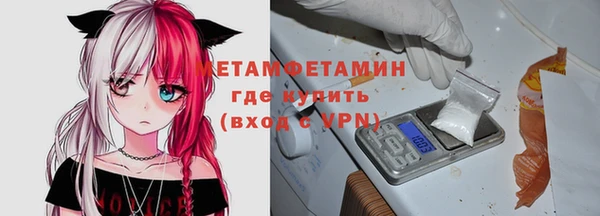 сатива Сясьстрой