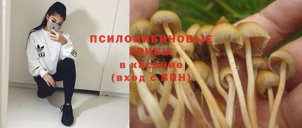 кокаин колумбия Богданович
