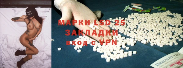 сатива Сясьстрой