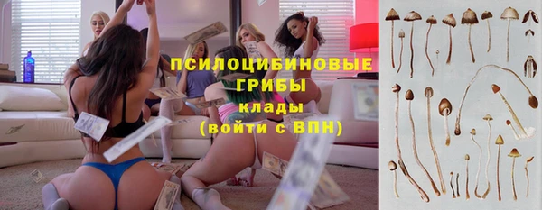 кокаин колумбия Богданович
