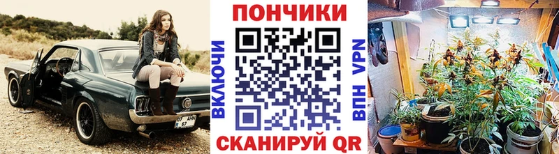 Марихуана Amnesia Мезень